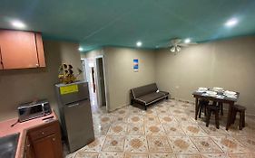 Forest View Apartment